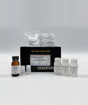 XENOPURE™ Small RNA Purification Kit