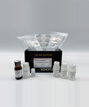 XENOPURE™ Total RNA Purification Kit