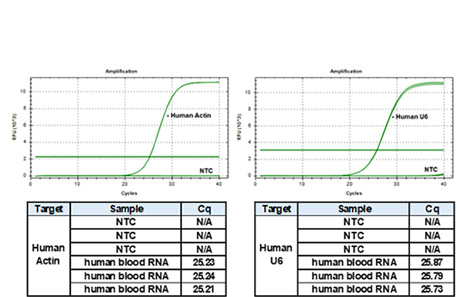 XENOPURE™ Blood Small RNA Purification Kit