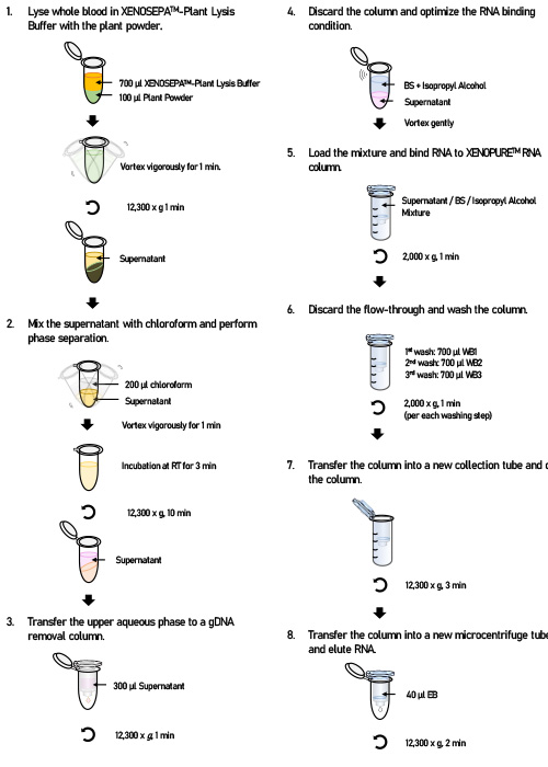 XENOPURE™ Plant Small RNA Purification Kit