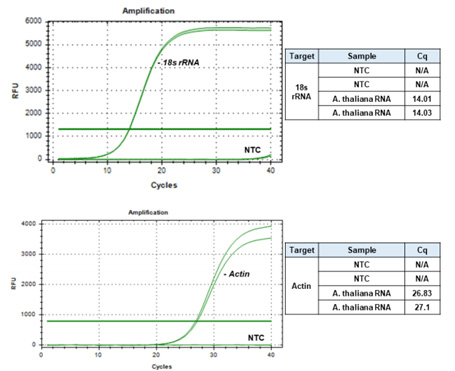 XENOPURE™ Plant Small RNA Purification Kit