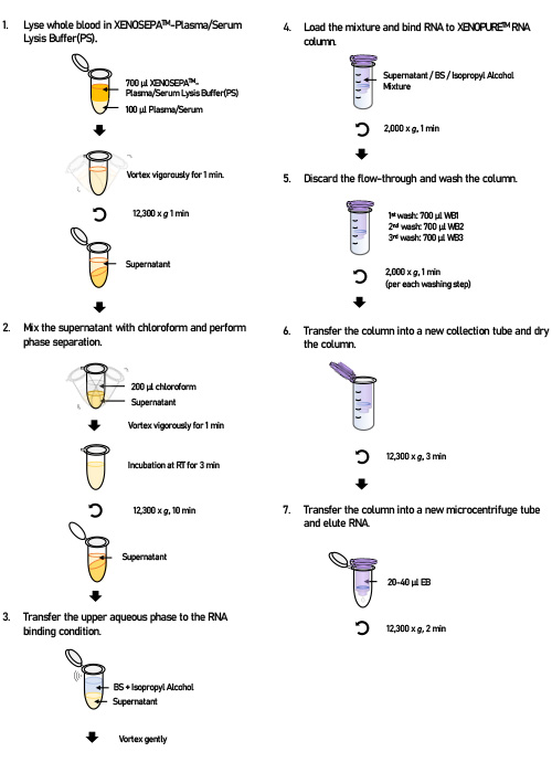 XENOPURE™ - Plasma Small RNA Purification Kit