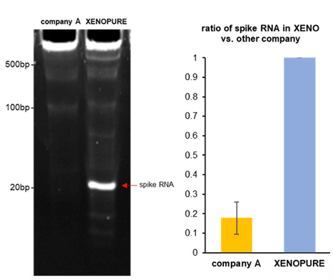 XENOPURE™ - Plasma Small RNA Purification Kit