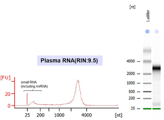 XENOPURE™ - Plasma Small RNA Purification Kit