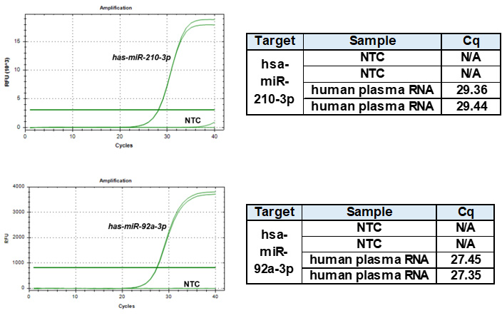 XENOPURE™ - Plasma Small RNA Purification Kit