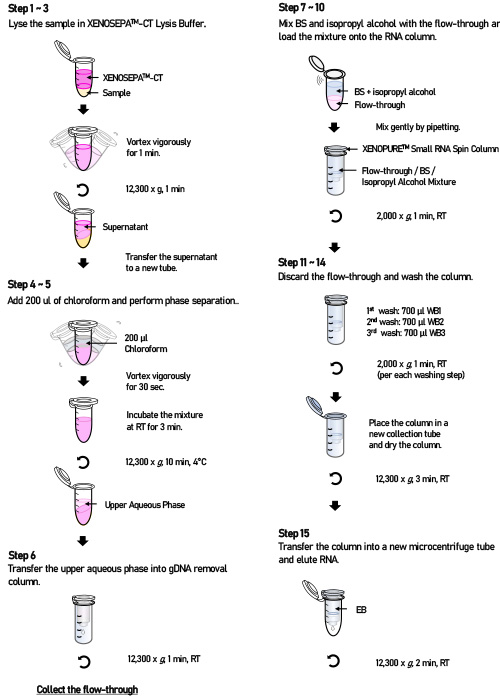 XENOPURE™ SMALL RNA PURIFICATION KIT